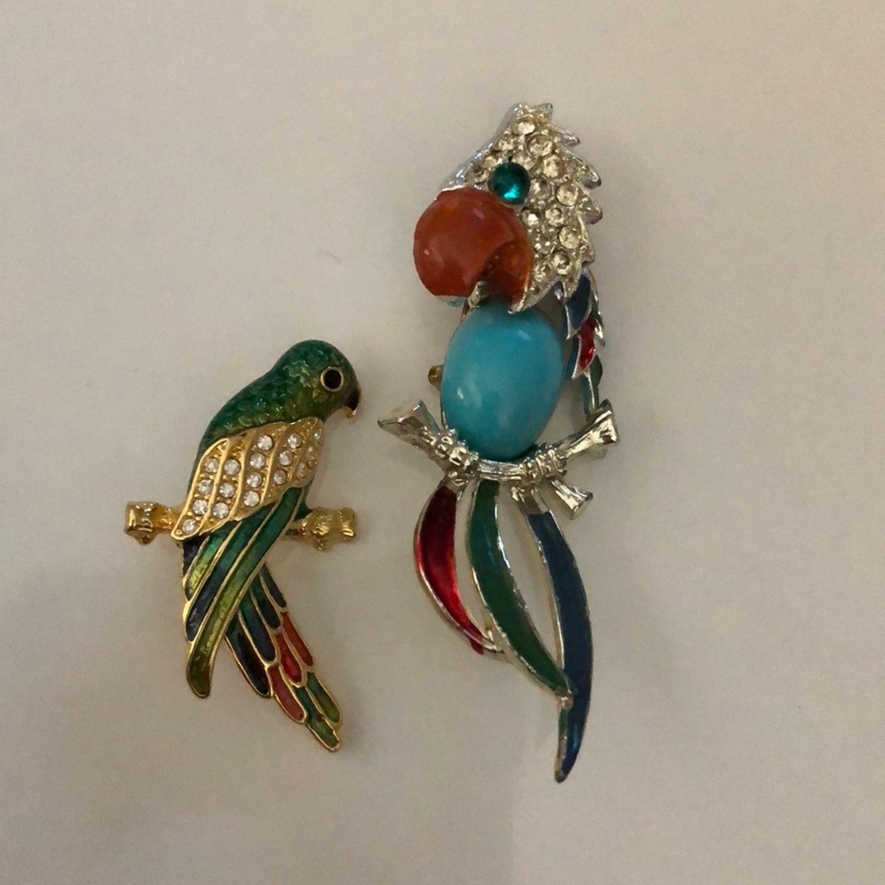 Beautiful parrot pins